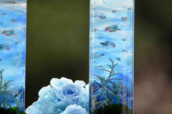 フラワーアクアリウム「海と熱帯魚」ベタ＆ベタ 3枚目の画像