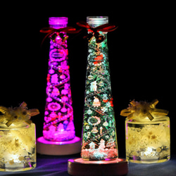 早割クリスマス２０２０☆彡クリスマスハーバリウムアート・サンタとスノーマンM（LEDライト付き） 1枚目の画像