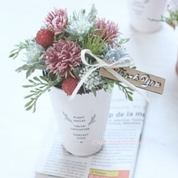 お買い得 早い者勝ち 2026 超豪華 12品種 多肉植物福袋 多肉植物 愛