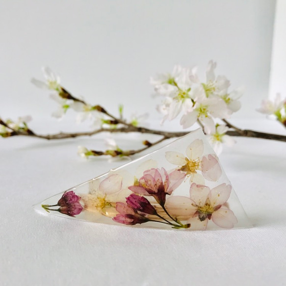 期間限定・本物のお花...さくらのヘアバレッタ / Barrette of SAKURA bouquet [H] 2枚目の画像