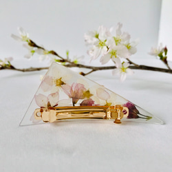 期間限定・本物のお花...さくらのヘアバレッタ / Barrette of SAKURA bouquet [H] 3枚目の画像