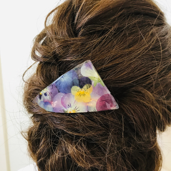 Hairclip of a violet / 本物のお花 すみれ(ビオラ)のヘアバレッタ [s] 5枚目の画像
