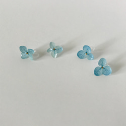 本物のお花 あじさいのシンプルイヤリング（ノンホールピアス） / Earring of Hydrangea 3枚目の画像