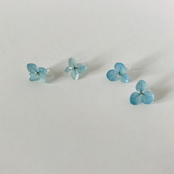 本物のお花 あじさいのシンプルイヤリング（ノンホールピアス） / Earring of Hydrangea 3枚目の画像