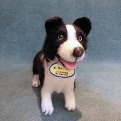 羊毛フェルト　ボーダーコリーおまけ付き 羊毛フェルト ボーダーコリーおまけ付き 羊毛フェルト ボーダーコリー