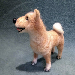ニードルフェルトの北海道犬（アイヌ犬） 4枚目の画像
