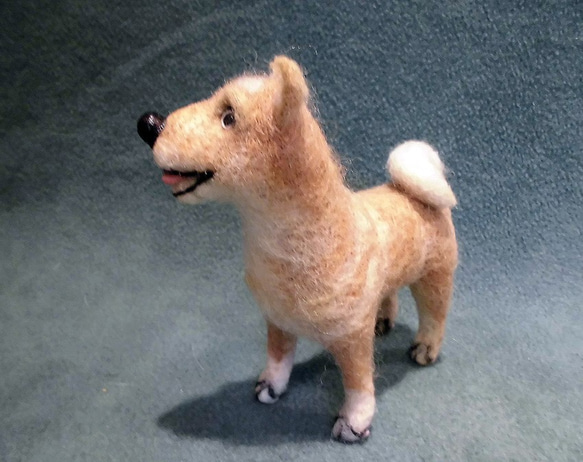 ニードルフェルトの北海道犬（アイヌ犬） 4枚目の画像