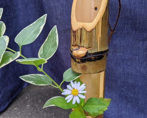竹筒花差しA 一輪挿し・花瓶・花器 竹細工職人kazu 通販