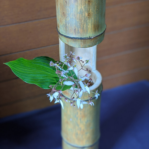 竹筒花差しC 一輪挿し・花瓶・花器 竹細工職人kazu 通販 11774243