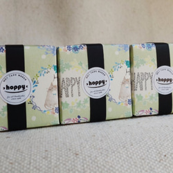 【hoppy】Mini Box-Wreath3 花圈貓綠紙膠帶 / GTIN : 4713077970898 第3張的照片