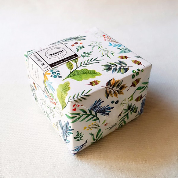 【hoppy】Mini Box-Bloom green / 花園賞 蒂綠花紙膠帶 / GTIN : 4713077972 第1張的照片