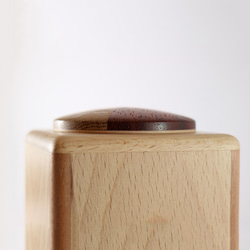 特製拼木圓蓋方體盒 - 山毛櫸木主體 - 第3張的照片