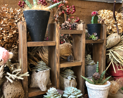 1_e6a01e64742e926f10607bdf3323