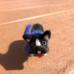 ミニチュアシュナウザー ソルト&ペッパー 羊毛フェルト masamune 通販