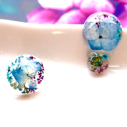 Bubble Earring / Pierce ー紫陽花ー 1枚目の画像