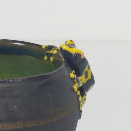 ヤドクガエルのぐい吞み(キオビヤドクガエル) おちょこ・ぐい呑み