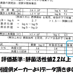 マスク　夏マスク　リネン100％　送料無料 天然素材 抗菌 日本製 男女兼用 夏素材 縮まない 冷感 オフ白 3枚目の画像