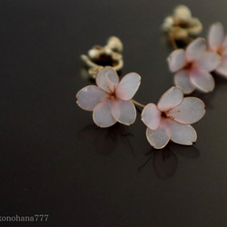 桜の耳飾り 1枚目の画像