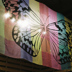 モルフォチェックストール　「胡蝶」 4枚目の画像
