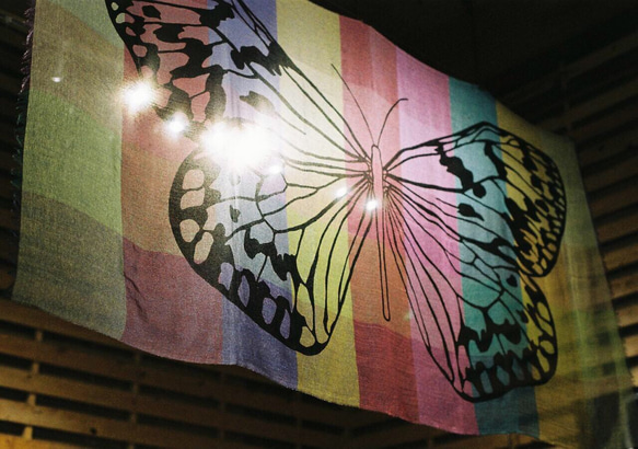 モルフォチェックストール　「胡蝶」 4枚目の画像