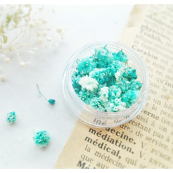 約20～40粒］花緑青色［レジン封入に*染めかすみ草］ レジン・樹脂