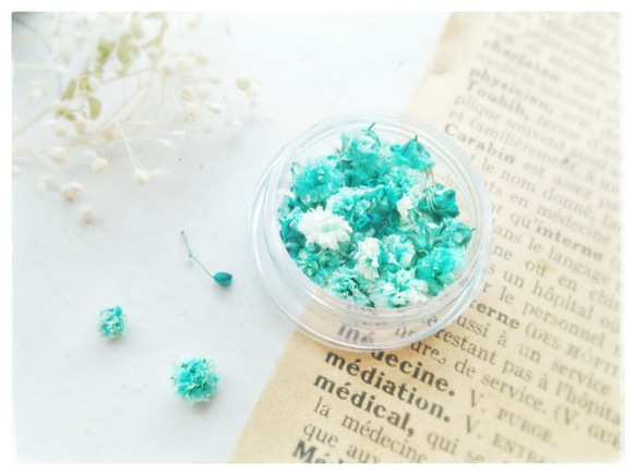 約20～40粒］花緑青色［レジン封入に*染めかすみ草］ レジン・樹脂