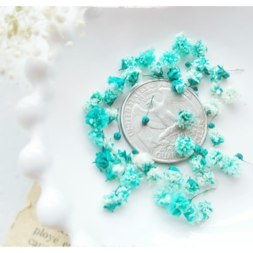 約20～40粒］花緑青色［レジン封入に*染めかすみ草］ レジン・樹脂