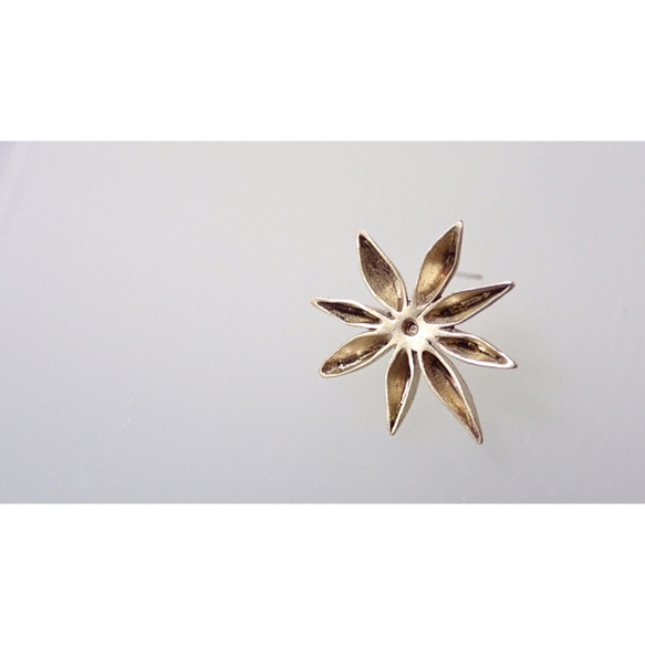 kaeruさま専用 Star Anise Pendant Top 1枚目の画像