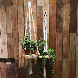 ▲プラントハンガ▲Macrame Plant Hanger 4枚目の画像