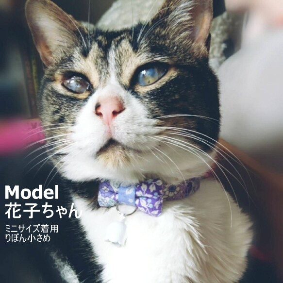 パッチワークの小花柄◇春にかわいい猫ちゃん首輪 8枚目の画像