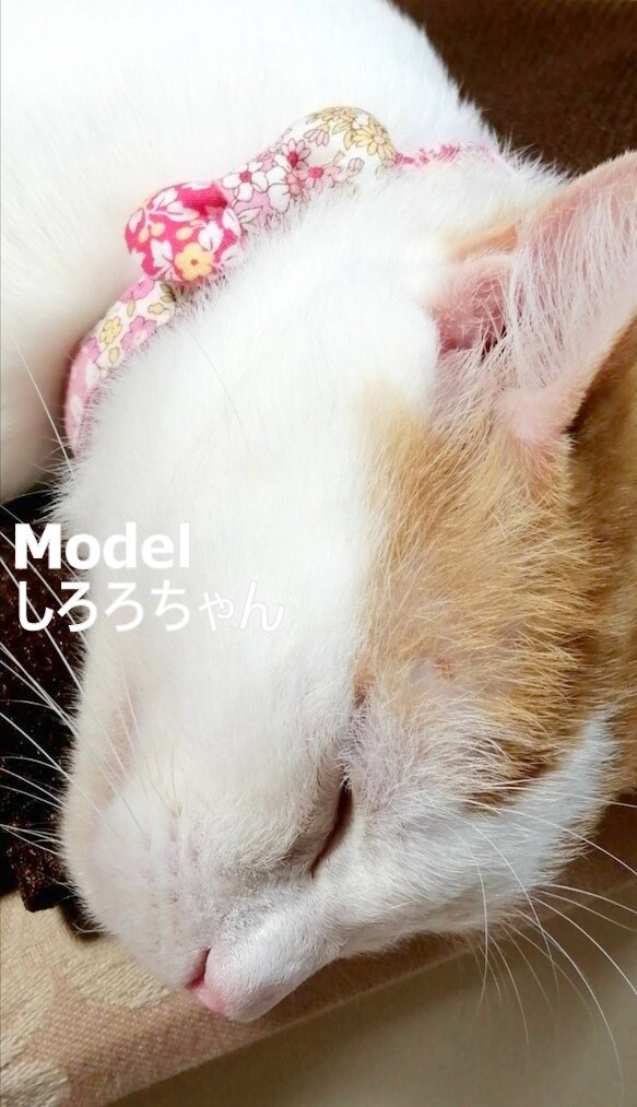 パッチワークの小花柄◇春にかわいい猫ちゃん首輪 9枚目の画像