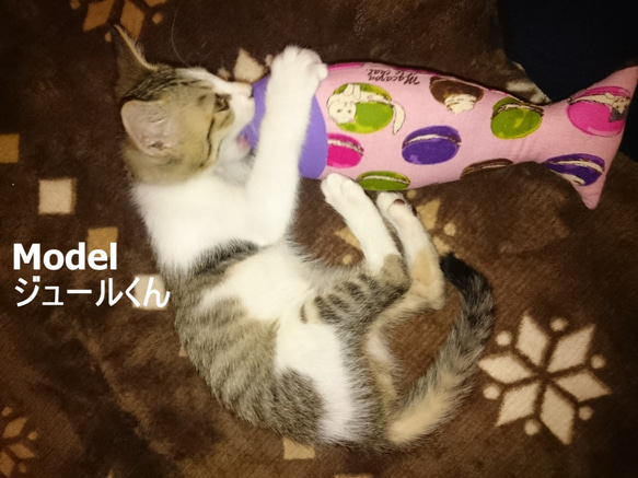 猫ちゃん×マカロン＊おさかなけりぐるみ 4枚目の画像