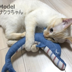 爽やかデニムのイルカさんキッカー＊猫ちゃんおもちゃ 5枚目の画像