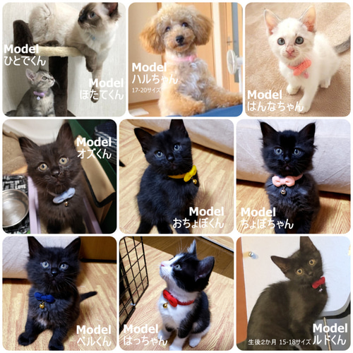 子猫ちゃん用はじめて首輪＊ドットまるリボン リード・首輪 Atelier  