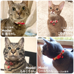 明亮秋葉的日式絲帶*貓項圈 第5張的照片