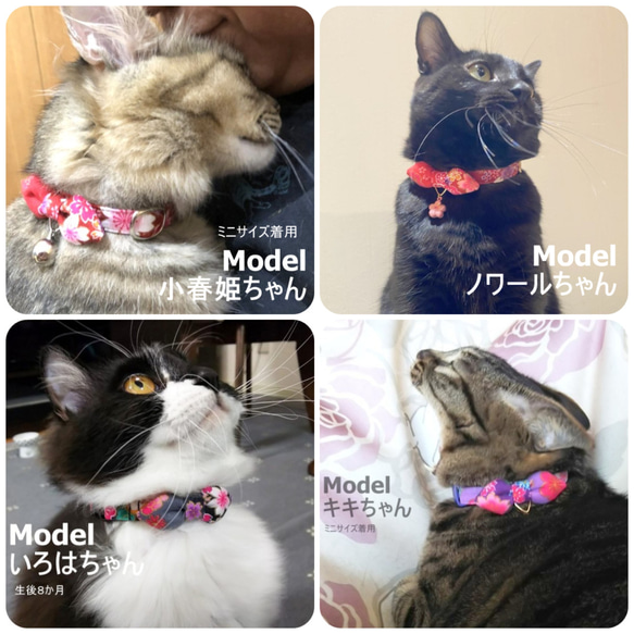和服式*日式貓項圈 第6張的照片