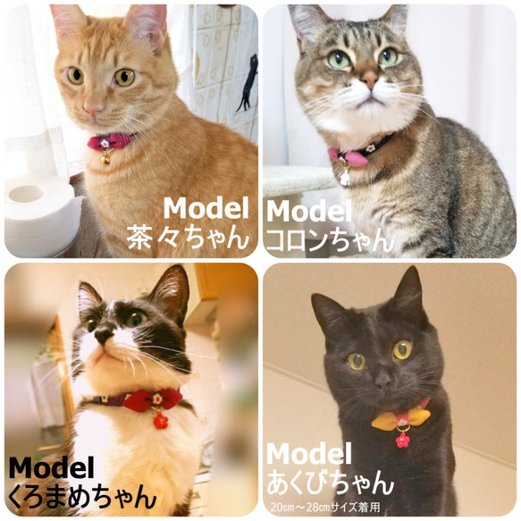 花小町 * 日式摩登貓項圈 第8張的照片