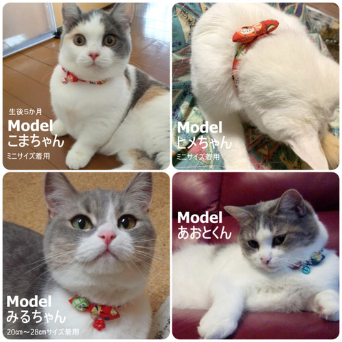 飴玉かわいいねこだるま＊和風猫ちゃん首輪 リード・首輪 Atelier LEON