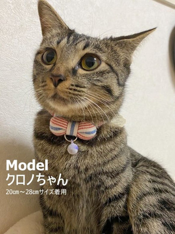 爽やかトリコロールボーダー☆猫ちゃん首輪 6枚目の画像