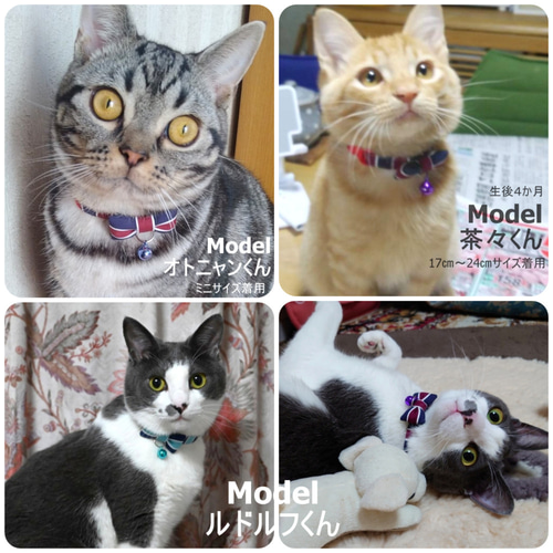 新色！バイカラーの紳士リボン＊猫ちゃん首輪 リード・首輪