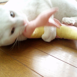 パステルピンクのイルカさんキッカー＊猫ちゃんおもちゃ 4枚目の画像