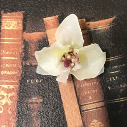 胡蝶蘭とチョコレートコスモス、オリーブの花冠のコサージュ (普通郵便 送料無料) 5枚目の画像