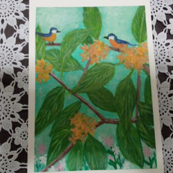 キンモクセイの木と鳥のポストカード 1枚目の画像