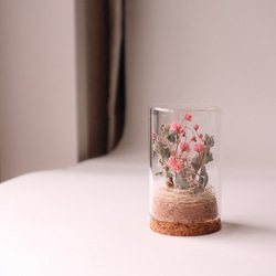 ピンクの 野の花　ハーバリウム・植物標本 1枚目の画像