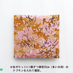 組み直して出品予定-サニタリーケース7 桜(16g) 1枚目の画像