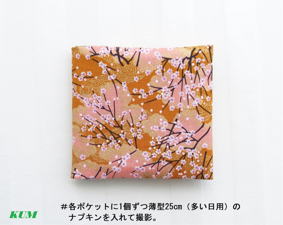 組み直して出品予定-サニタリーケース7 桜(16g) 1枚目の画像