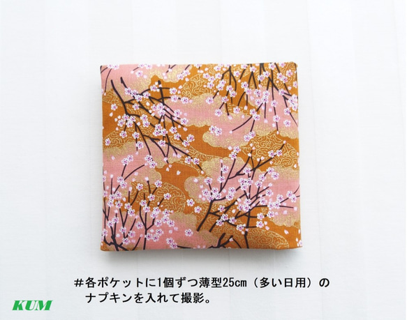 組み直して出品予定-サニタリーケース7 桜(16g) 2枚目の画像