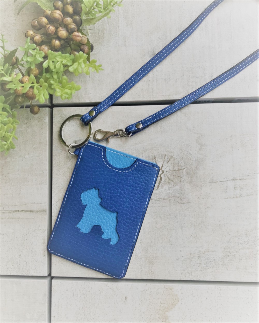イタリーカーフ　バイカラー　パスケース(テリア)　ロイヤルブルー