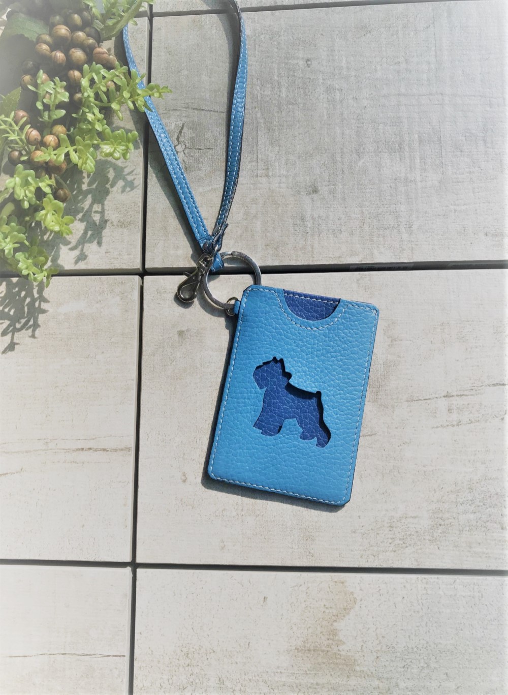 イタリーカーフ　バイカラー　パスケース(テリア)　オメガブルー