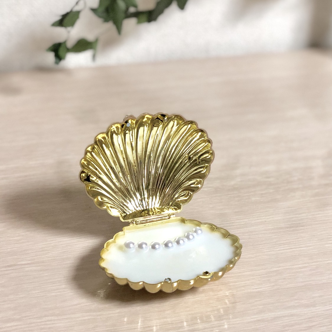カワイイ大きい貝殻♡インテリア♡シェル♡